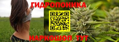 сатива Рязань