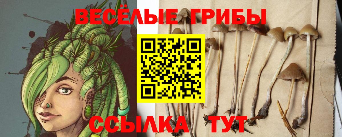 Артём  Псилоцибиновые грибы MAGIC MUSHROOMS  Вход с VPN  Псилоцибиновые грибы MAGIC MUSHROOMS 